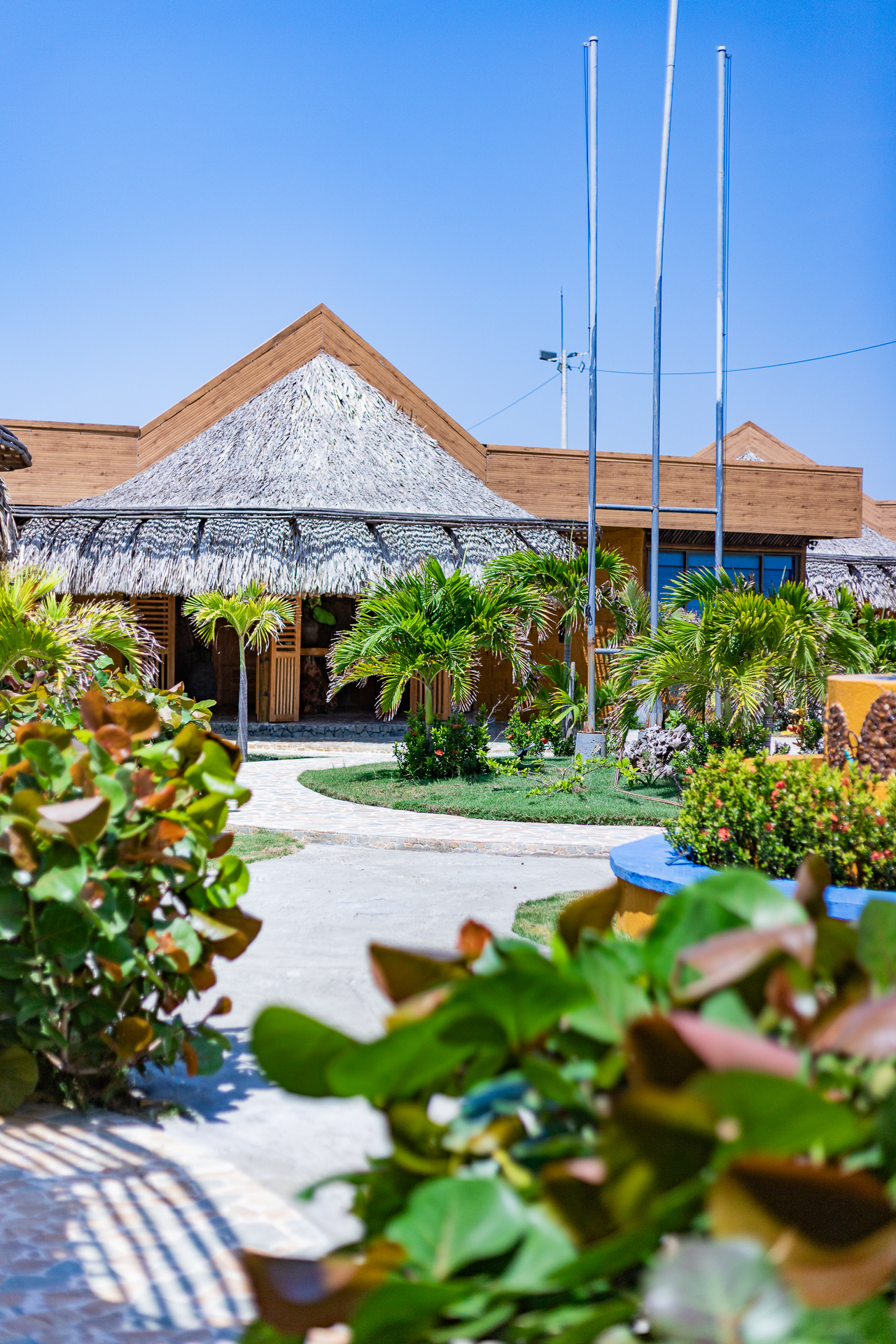 Pool surrounded by palm trees and lounge areas at Marahuaco Beach House Piscina rodeada de palmeras y zonas de descanso