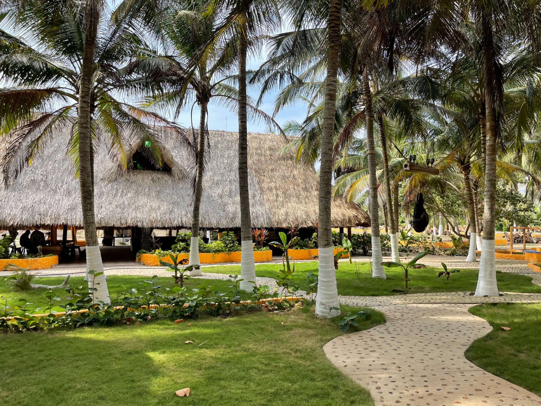 Event pavilion surrounded by tropical gardens and palm trees at Marahuaco Beach House Kiosko de eventos rodeado de jardines tropicales y palmeras